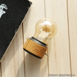 Svetodiodnaya_lampa_dekor_appledpark.ru_2