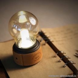 Svetodiodnaya_lampa_dekor_appledpark.ru_4