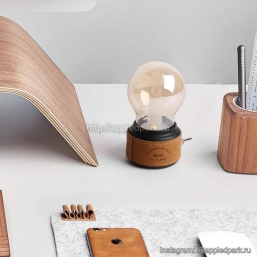 Svetodiodnaya_lampa_dekor_appledpark.ru_5