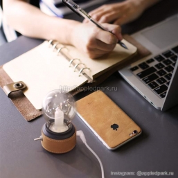 Svetodiodnaya_lampa_dekor_appledpark.ru_6